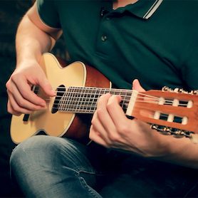 Overige ukeleles