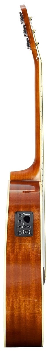 Brunswick BD200CE akoestisch/elektrisch gitaar zijaanzicht