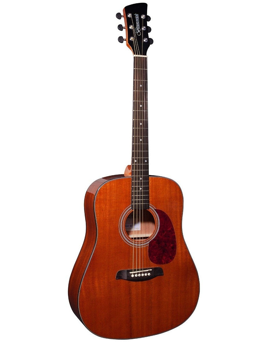 Brunswick BD200 M akoestisch gitaar vooraanzicht