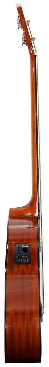Brunswick TBJBA BK akoestisch basgitaar zijaanzicht