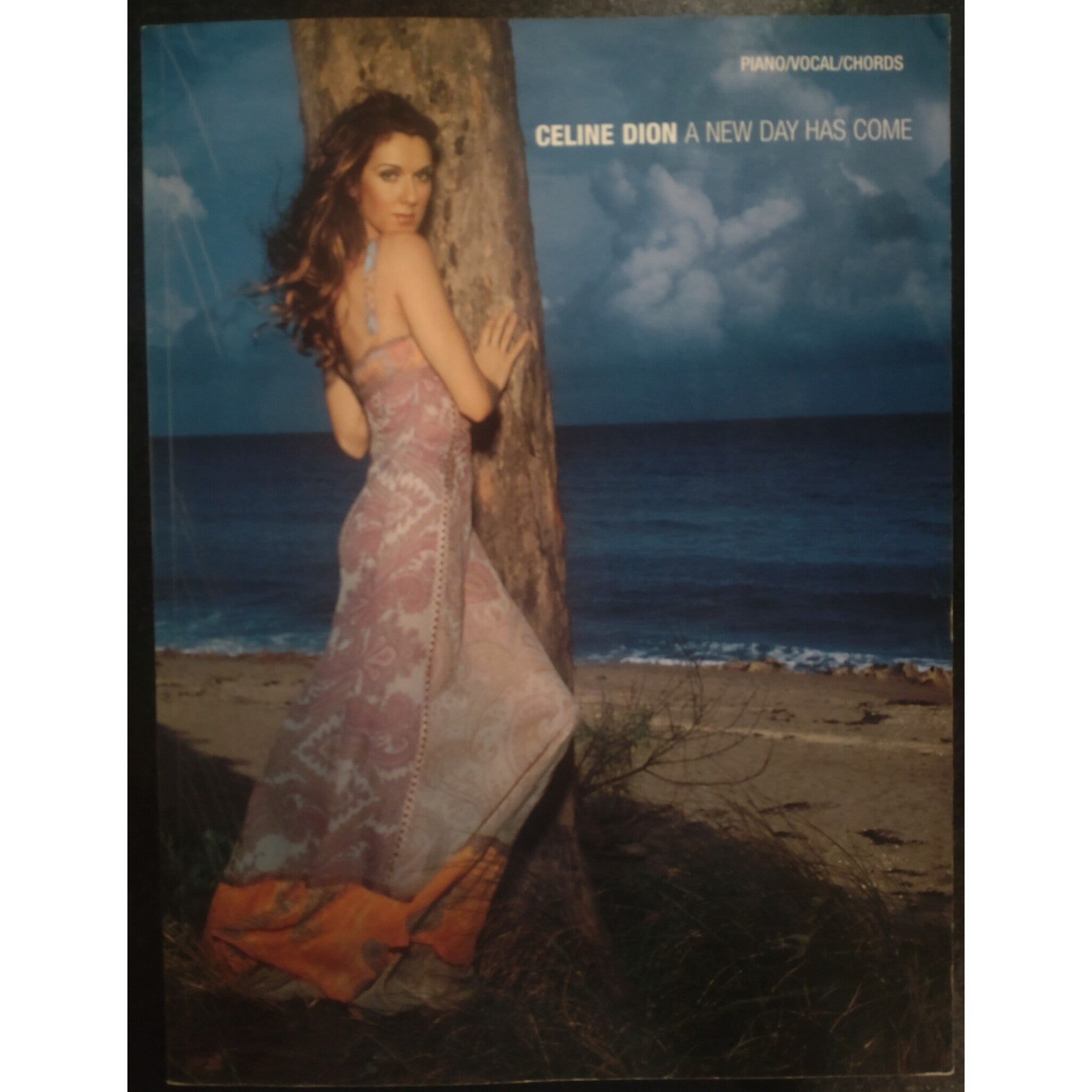 Wise Celine Dion - A New Day Has Come - Piano, Vocals and Guitar