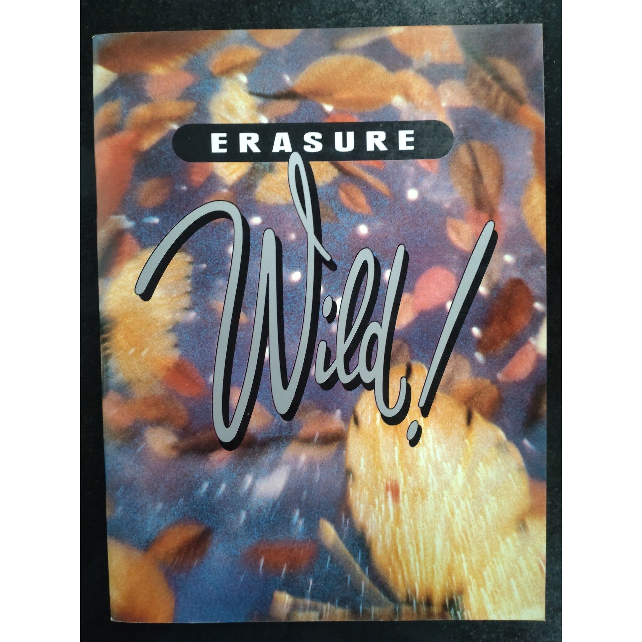 Wise Erasure - Wild - Gitaar met tablatuur en Zang