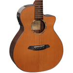 Rathbone R1CRCE akoestisch/elektrisch gitaar vooraanzicht body