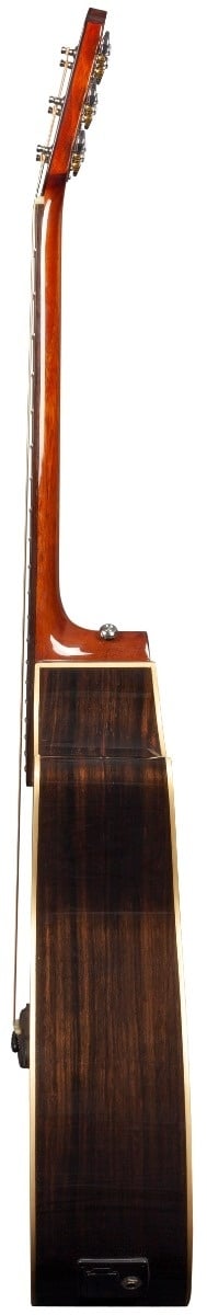 Rathbone R3CECE akoestisch/elektrisch gitaar zijaanzicht