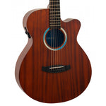 TE4CEBL akoestisch/elektrisch gitaar