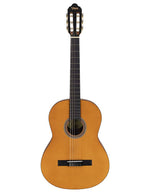 Valencia VC204H hybride klassiek gitaar aanzicht recht van voren