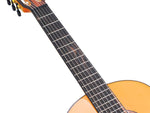 Valencia VC564 klassiek gitaar nek