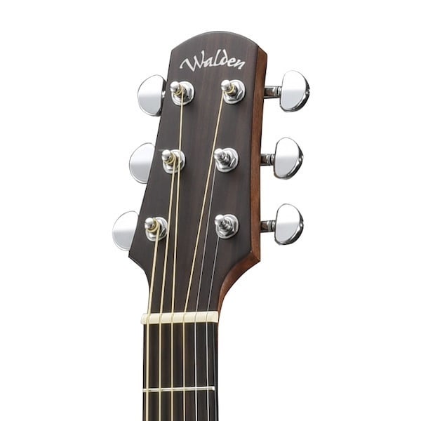 Walden D450 akoestisch gitaar kop