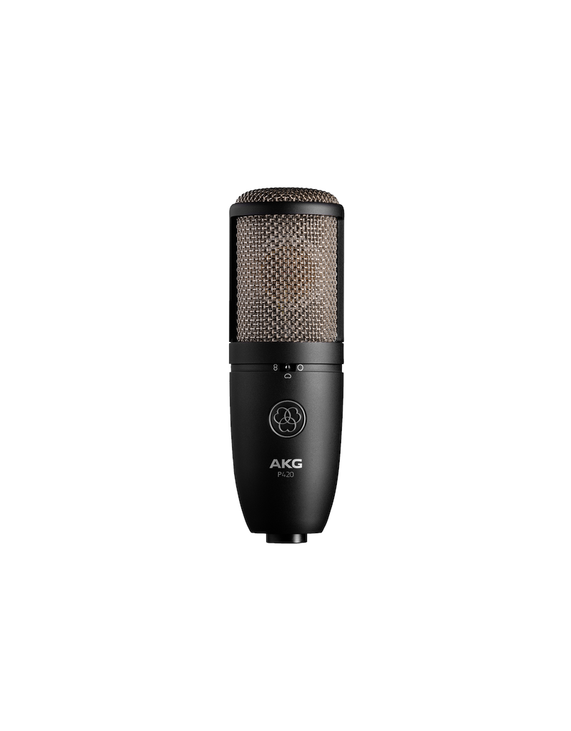 P420 Recording condensator microfoon