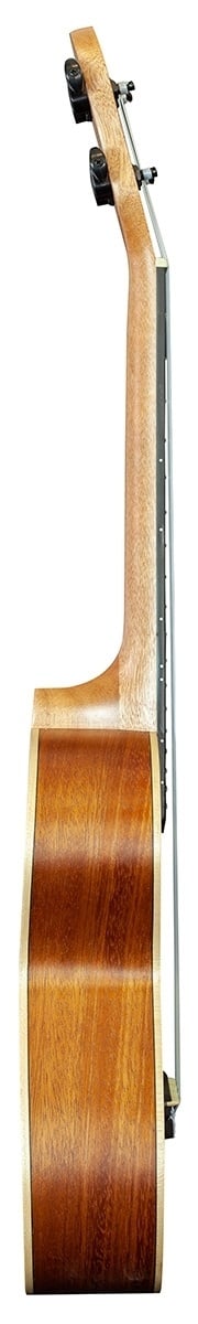 Barnes & Mullins BMUK6C Concert ukulele