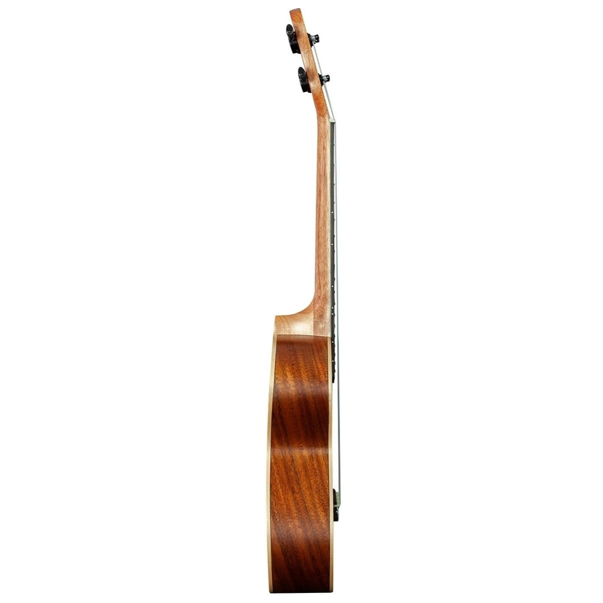 BMUK7C Concert ukelele Koa
