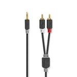 Stereo audiokabel mini stereo jack naar 2x tulip 1 meter