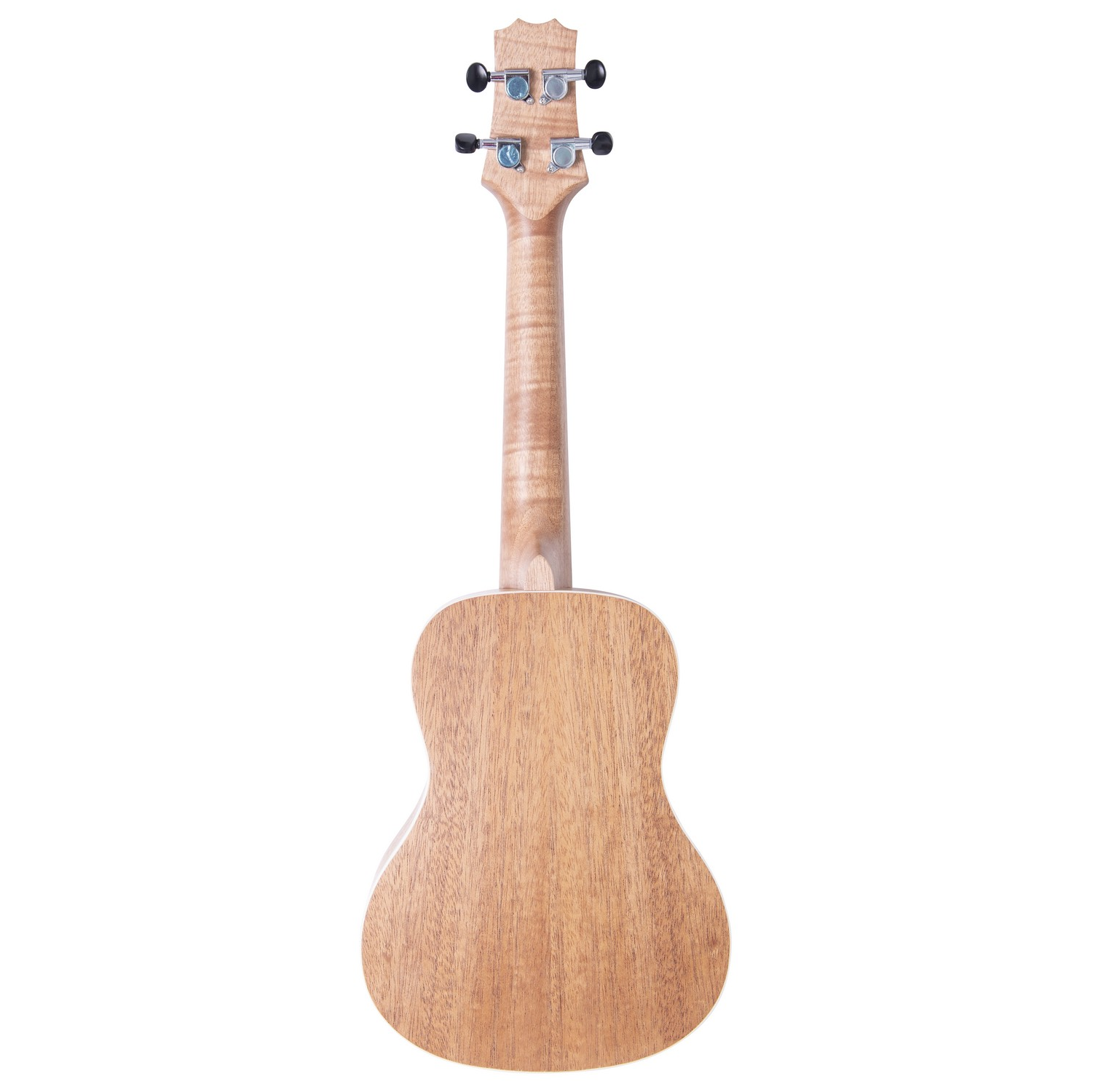 Composer concert ukelele
