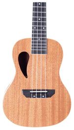 Composer concert ukelele