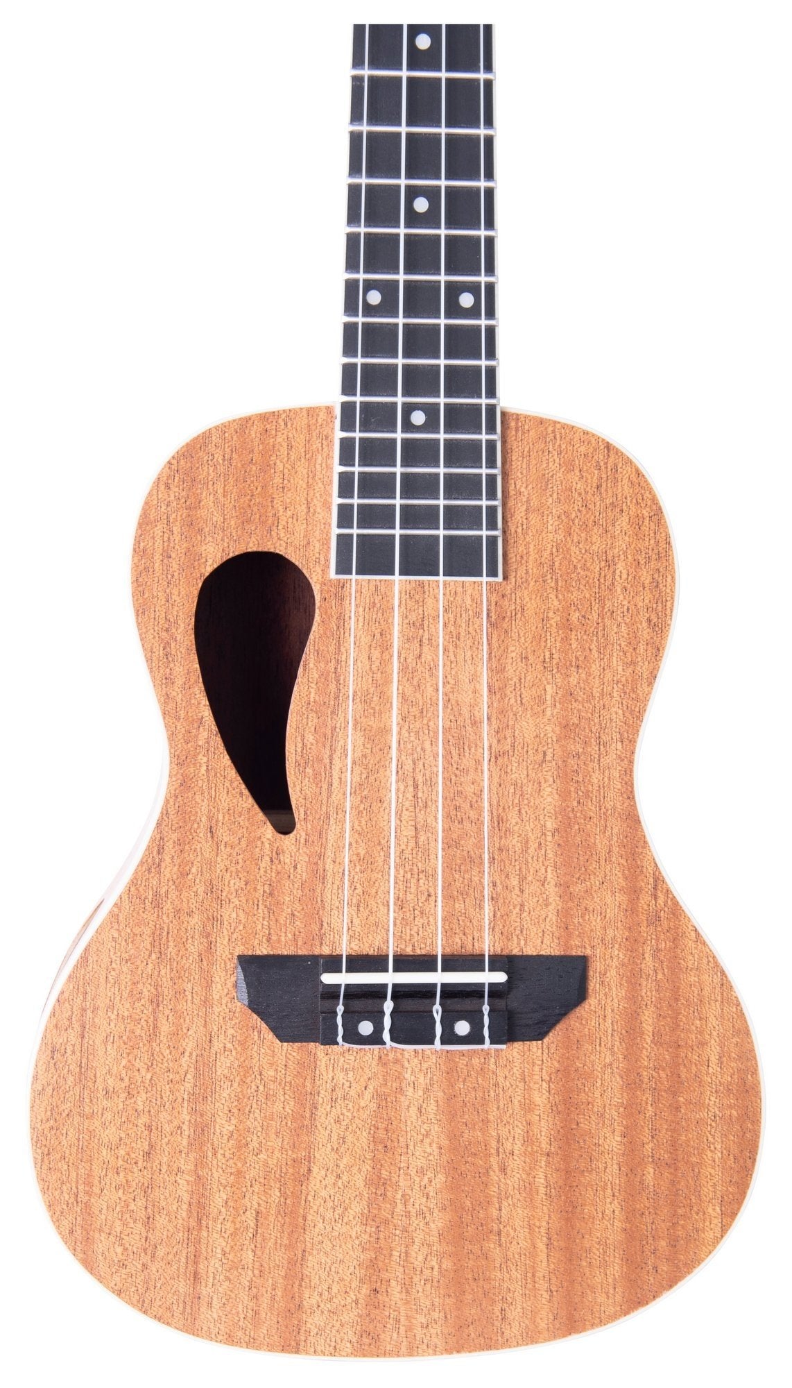 Composer concert ukelele