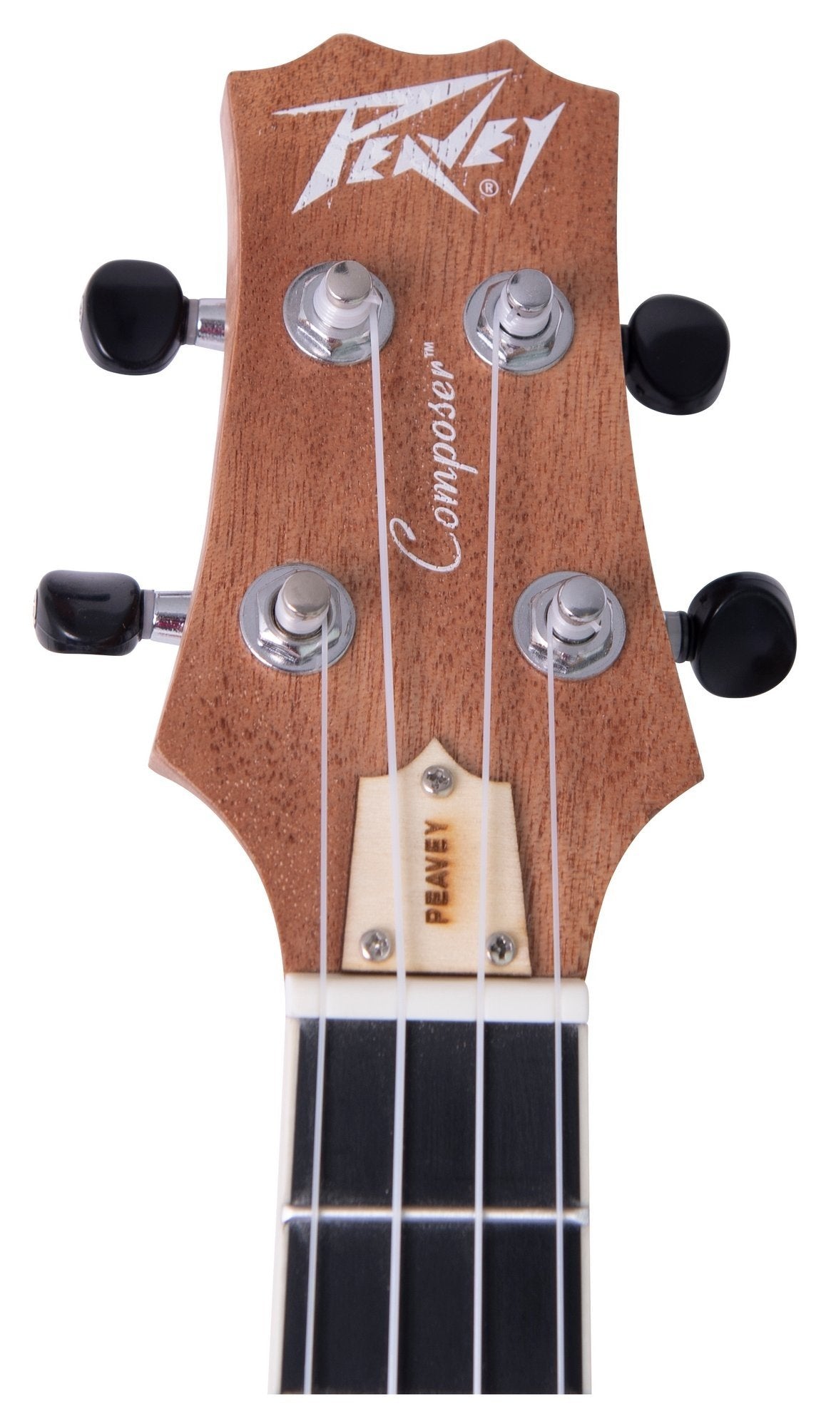 Composer concert ukelele