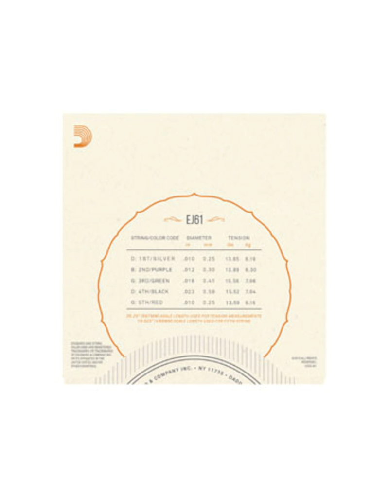 D'addario EJ61 5-string medium banjo strings 010-023 