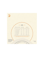 D'addario EJ61 5-string medium banjo strings 010-023 