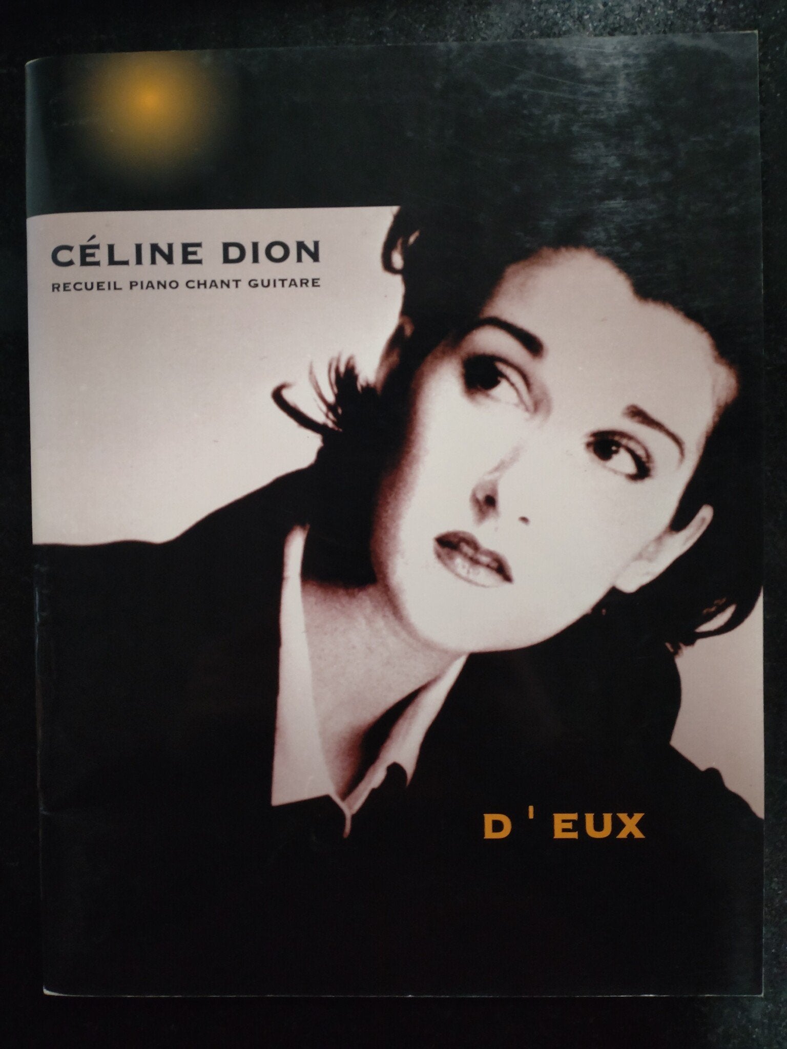 Hit Diffusion Celine Dion - D'EUX - Piano. Zang en Gitaar