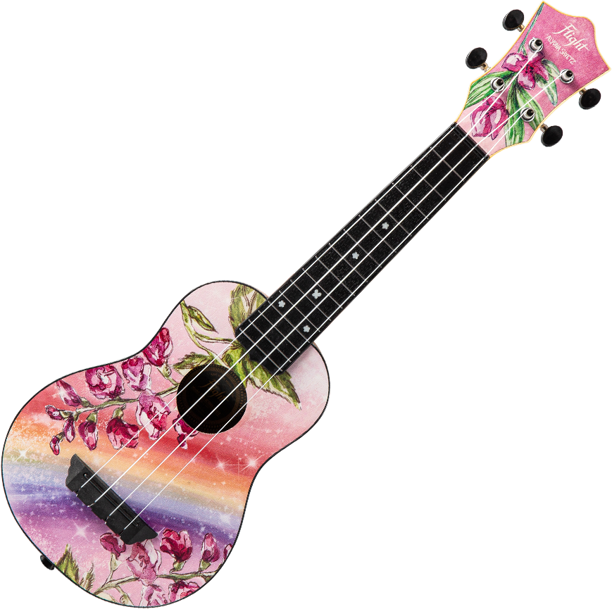 TUS-Alyona Shvetz  Travel sopraan ukelele