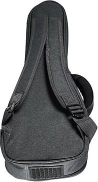 CLX Music GTU-250C Concert ukulele cover