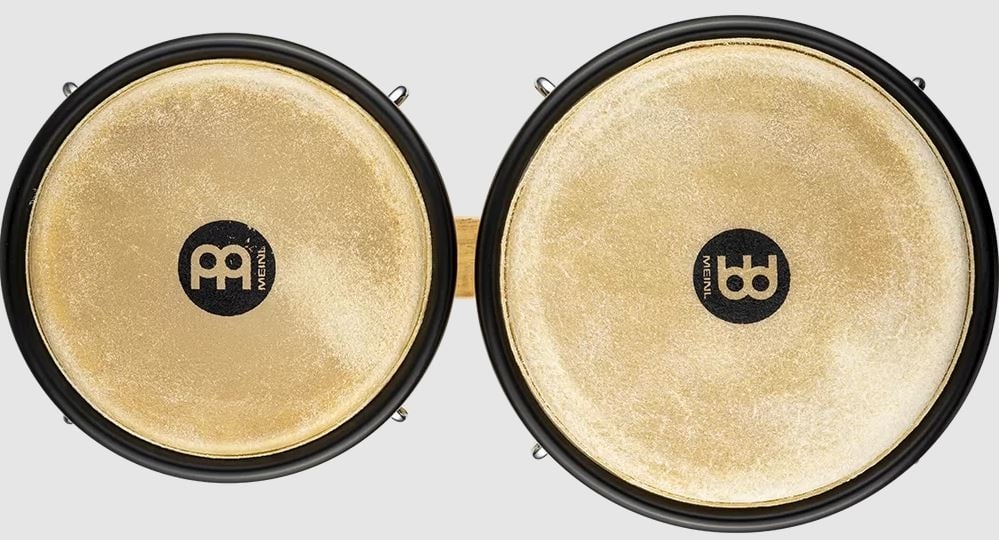 HB100NT Bongo naturel