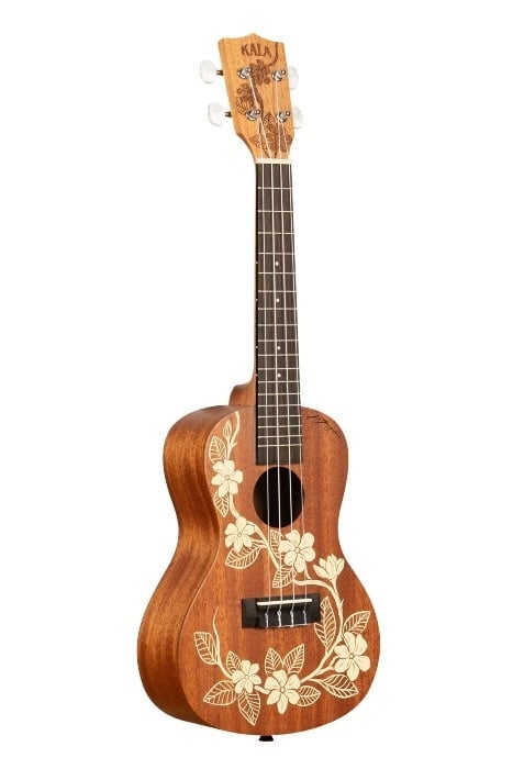 Kala Gardenia concert ukulele