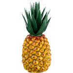 595 Ananas