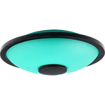 NINO982 Tongue drum 7" G-mineur