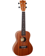 NUC310 concert ukelele