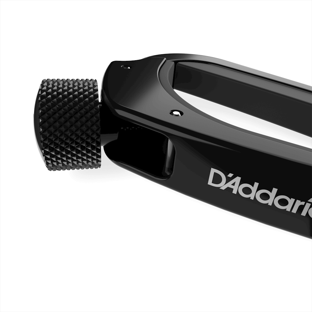 D'addario Pro capo