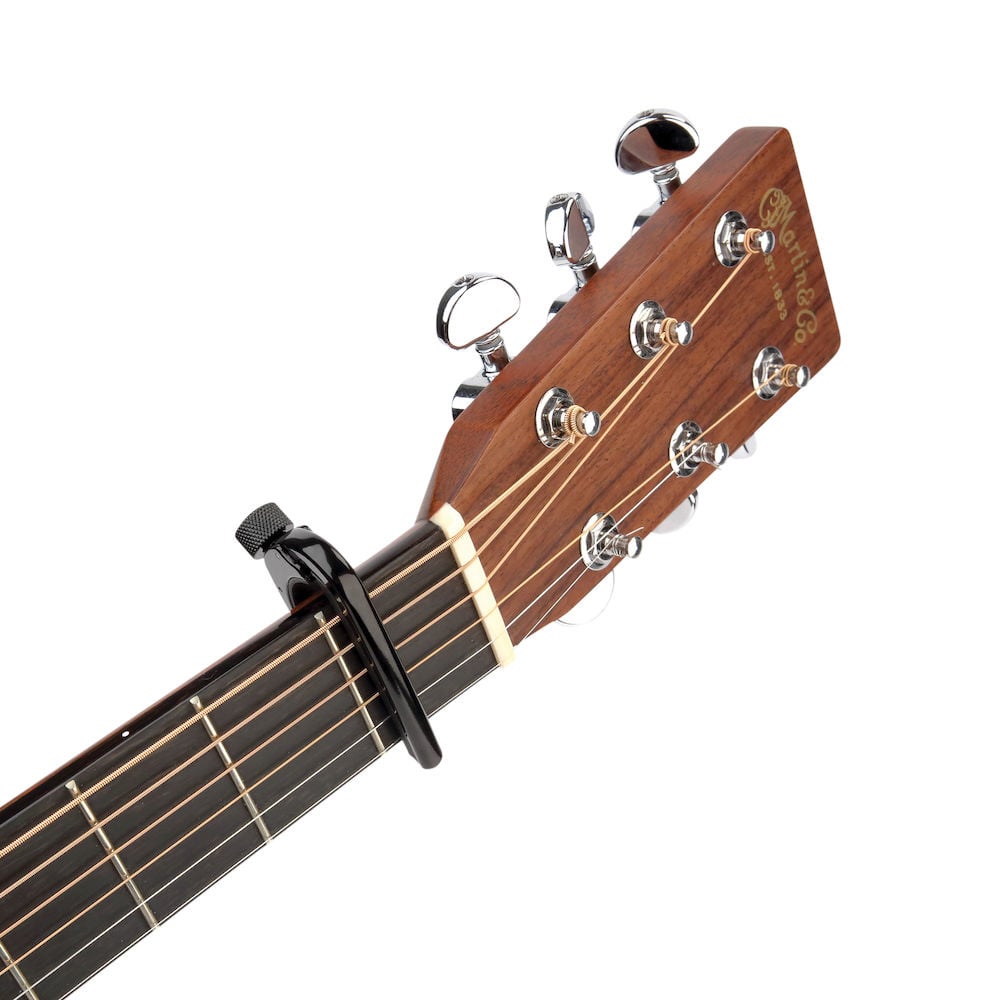 D'addario Pro capo