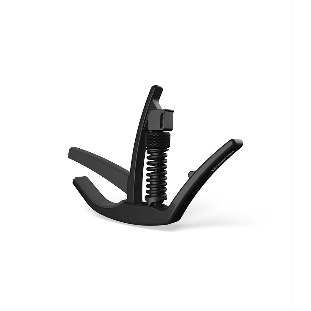 PW-CP-10 Artist capo