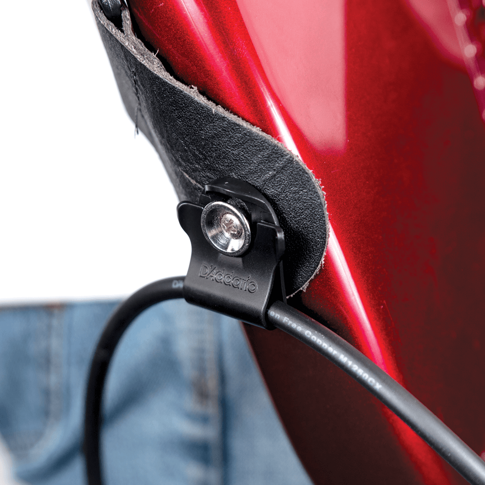 PW-DLC-01 Dual-lock strap lock