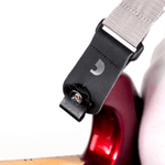 PW-DLC-01 Dual-lock strap lock