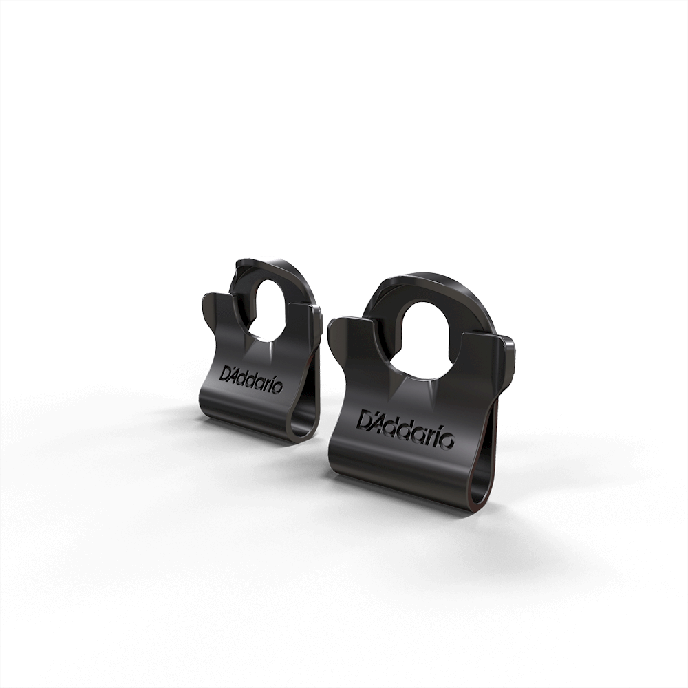 PW-DLC-01 Dual-lock strap lock