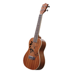 Leaves Mahonie concert ukelele
