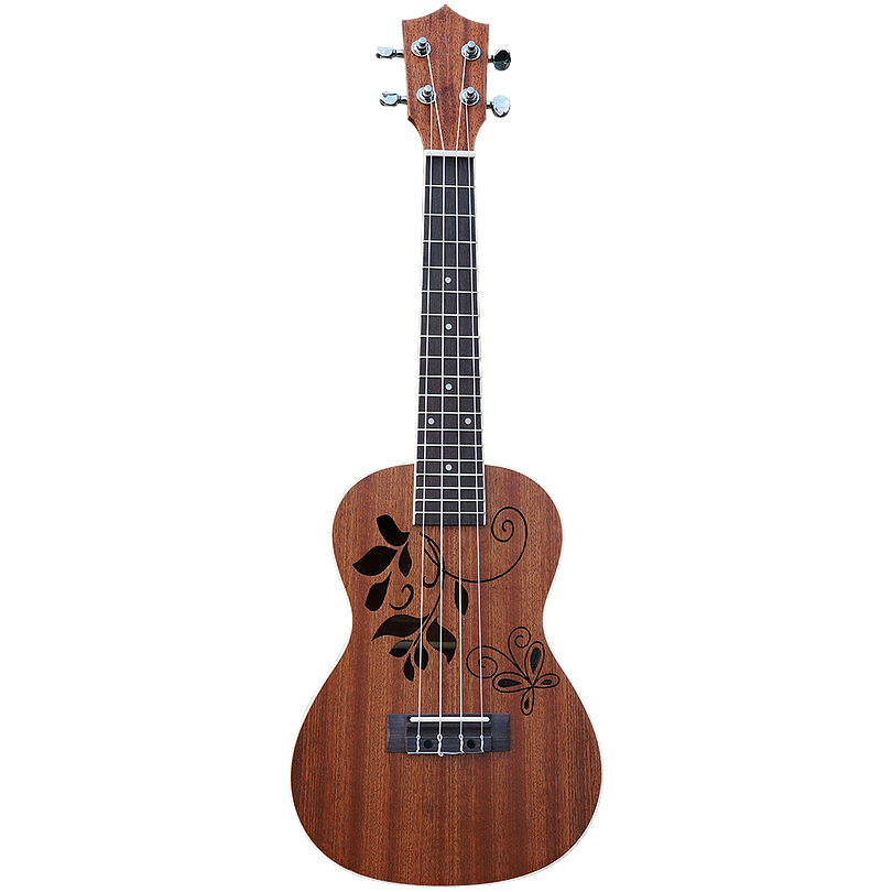 Leaves Mahonie concert ukelele