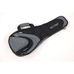Ritter RCG400-9 Mandolin cover