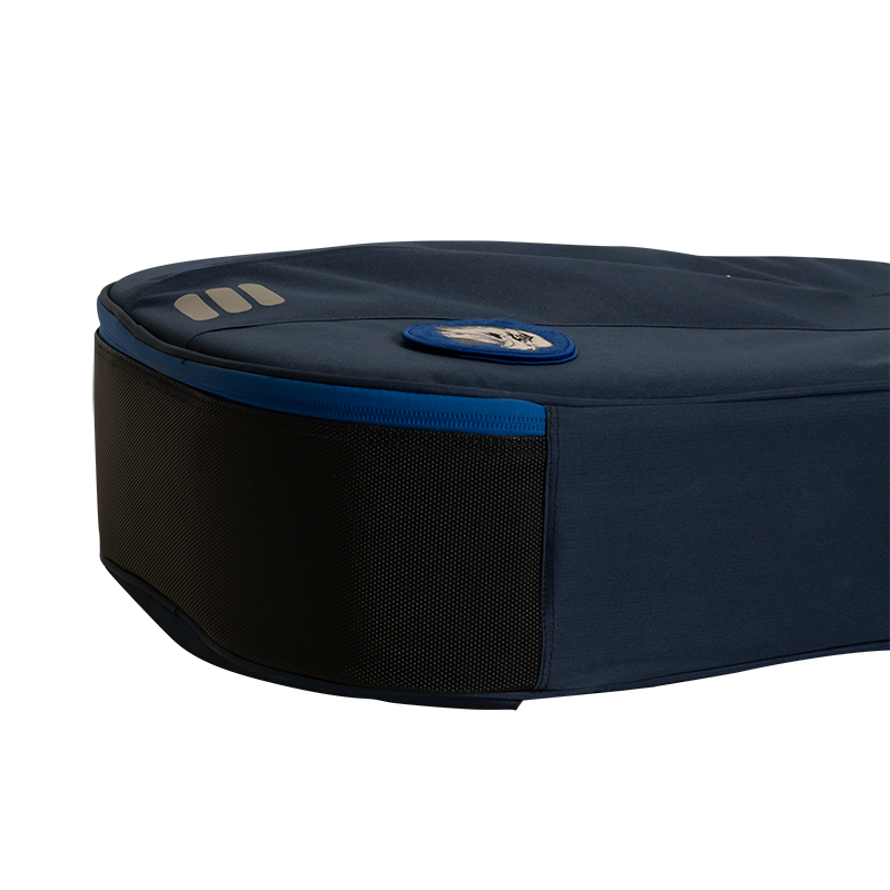 Ritter RGC3-D/ABL Dreadnought guitar case