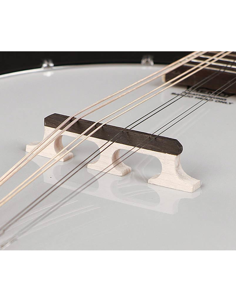 Richwood RMBM-408 Mandolin banjo