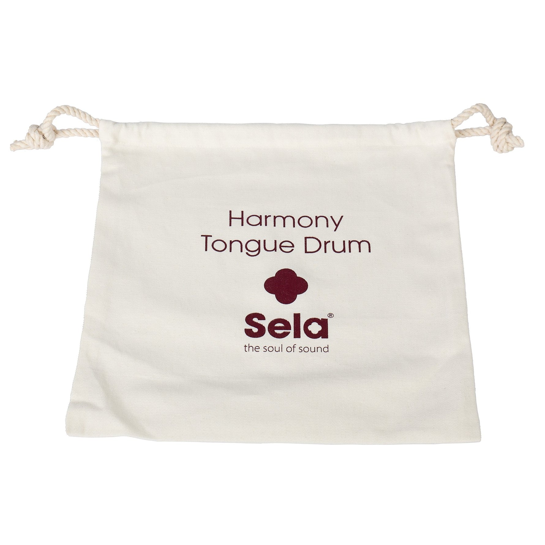 Harmony Tongue drum 12 inch A-mineur