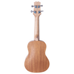 Student ukelele