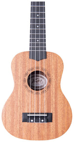 Student ukelele