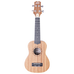 Student ukelele