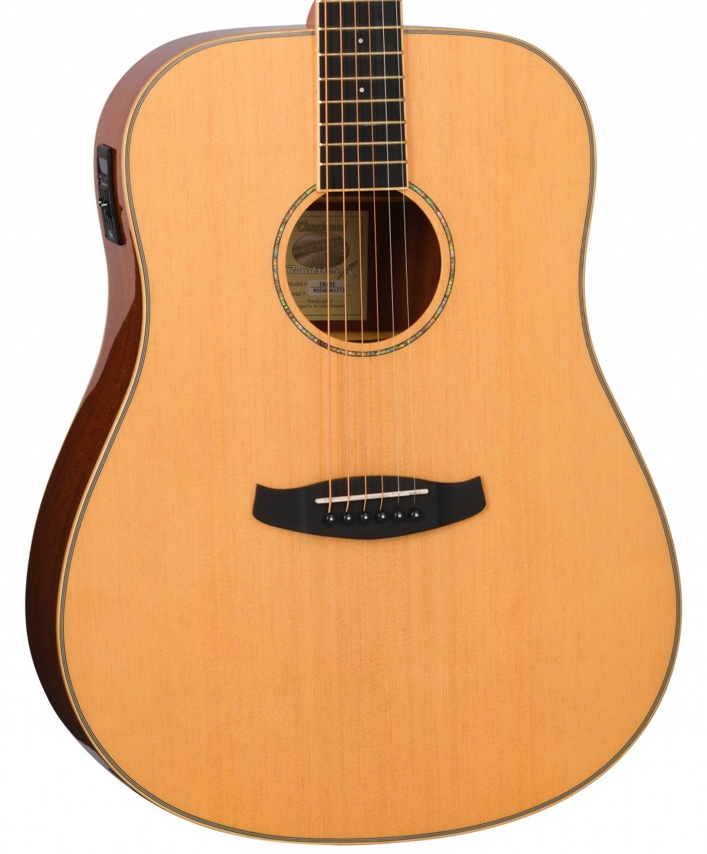 Tanglewood TRX5E akoestisch/elektrisch dreadnought gitaar
