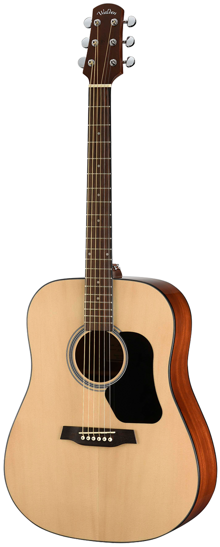 Walden D450 acoustic guitar
