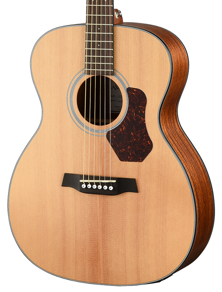 Walden O550E acoustic/electric guitar